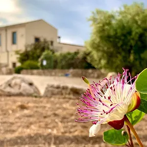 Affittacamere Pantanelli Di Vendicari Casa Maccari